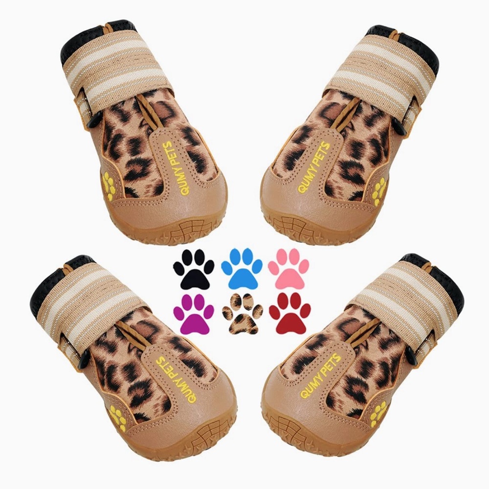 New dog shoes